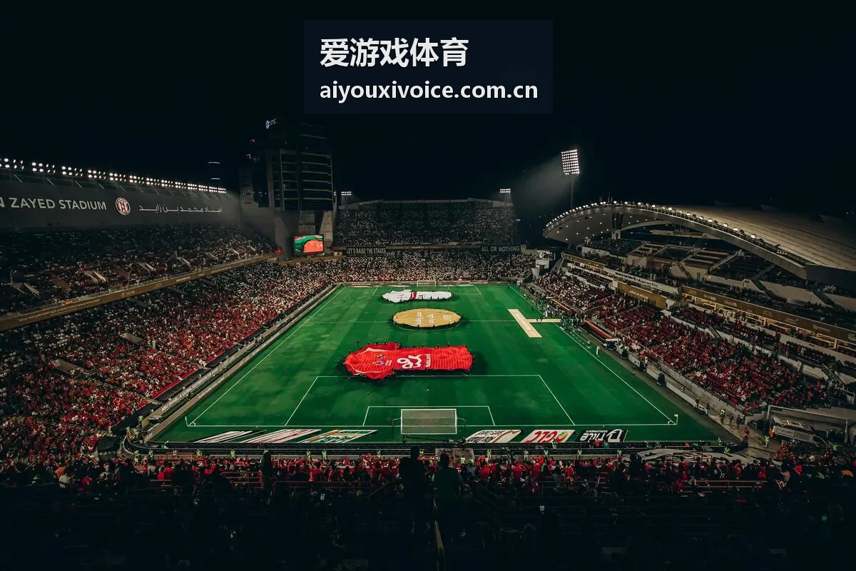 爱游戏体育赛事直播封面